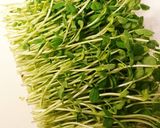 豆苗塩昆布和え作り方1写真
