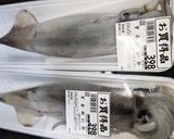 スルメイカの塩辛作り方12写真