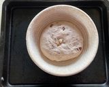 クルミのベリーの全粒粉入りカンパーニュ作り方7写真