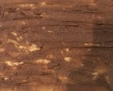 アップルシナモンロール作り方7写真