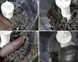 月餅 黒ゴマあんこナッツ ドライフルーツ作り方3写真