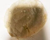 我が家のピザ生地作り方2写真