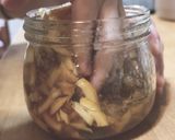 レモン酵素シロップ作り方8写真