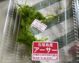 【旅先料理】石垣島の豆腐とあおさの炒め煮作り方2写真
