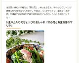 菜の花と新たまねぎの春マリネ作り方10写真