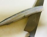 【サヨリ】捌いてみた作り方4写真