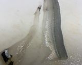 【サヨリ】捌いてみた作り方6写真