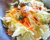 冷蔵庫の余り物で作る白菜と人参の浅漬け作り方1写真