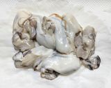 豚バラ肉と牡蠣と春菊と春雨の重ね煮作り方4写真