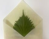 明太チーズちくわ春巻き作り方4写真