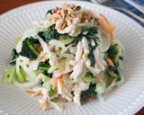 鶏肉入り【大根と青菜のデリ風サラダ】作り方4写真