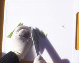 ハレの日に！絹さやかきまでご飯【食遺産】作り方2写真