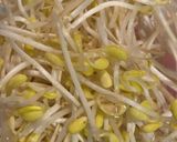 豆もやしとわかめの塩麹ナムル作り方1写真