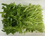 豆苗とひじきのまめまめサラダ作り方2写真