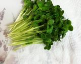 生ハム巻き♪かいわれとクリームチーズ作り方1写真