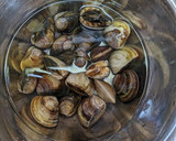 料理酒だけで作るはまぐりの酒蒸し作り方1写真