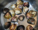 料理酒だけで作るはまぐりの酒蒸し作り方3写真