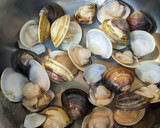 料理酒だけで作るはまぐりの酒蒸し作り方4写真