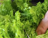わさび菜入り♪春色親子丼作り方5写真