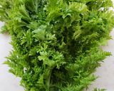 わさび菜のツナマヨあえ作り方1写真