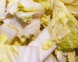 鍋で簡単！白菜と長ネギの中華風鍋作り方1写真