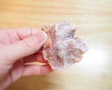 ☆お酒のアテにも☆砂肝のから揚げ作り方5写真