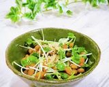 カイワレ納豆作り方9写真