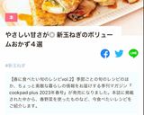 新玉ねぎと豚バラの照り焼き作り方18写真