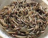 簡単失敗しないイカナゴ釘煮作り方1写真