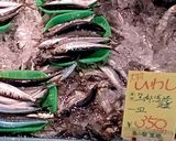 まいわしの梅しそ巻き焼き~魚の駅生地~作り方1写真