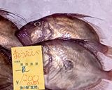 マトウダイのピカタ～魚の駅生地～作り方1写真