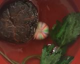 白だしで絶品おすまし作り方4写真