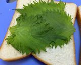 蓮根きんぴらと油揚げのホットサンド作り方2写真