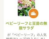 ベビーリーフと豆苗の無限サラダ作り方1写真