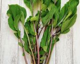 紅菜苔（コウサイタイ）の辛子醤油和え作り方1写真