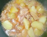 天然だし★鶏モモ肉と新じゃが★基本の煮物作り方10写真