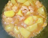天然だし★鶏モモ肉と新じゃが★基本の煮物作り方11写真
