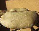 カリッふわっ　手作りナン　～中力粉で～作り方13写真