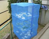 手作りかんたん酢♪ちょっと違うような・・作り方4写真