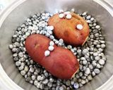 超簡単！無水鍋とタルトストーンで石焼き芋作り方5写真