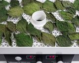 乾燥えごまの葉とえごまの葉パウダー作り方3写真