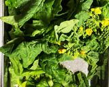 春♡菜の花と筍と生ハムのパスタ作り方5写真