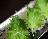 新鮮！おいしい！毛ガニの刺身作り方16写真