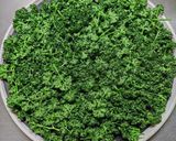 パセリの保存に☆レンジで簡単乾燥パセリ作り方7写真