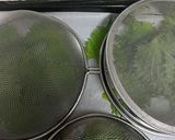 青じそのドライハーブ作り方3写真
