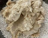 簡単！大豆の水煮で手作り味噌作り作り方4写真