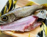 脂ノリノリ【クロムツの塩焼き】作り方2写真
