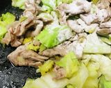 豚肉＆キャベツのあまタレ野菜炒め作り方3写真