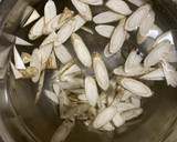 土付き根菜の下処理＊里芋・ごぼうなど作り方8写真