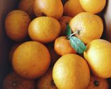 お花見☆甘夏チーズあんバターホットサンド作り方11写真